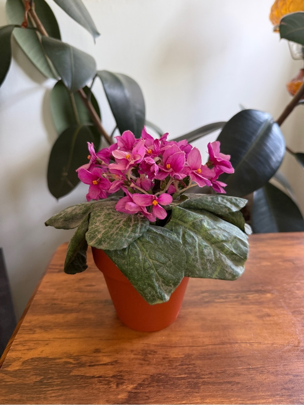 Pink African fake plant Violet Potted Plant - Home Accents